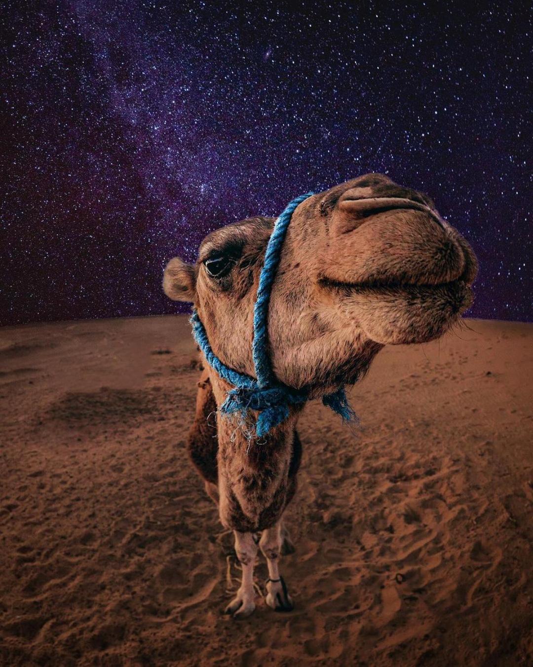 Merzouga Luxury Magic Nights Zewnętrze zdjęcie